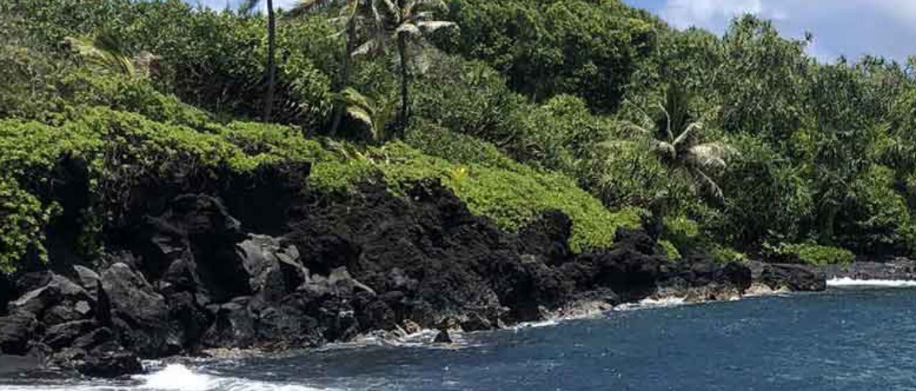 Black sand beach